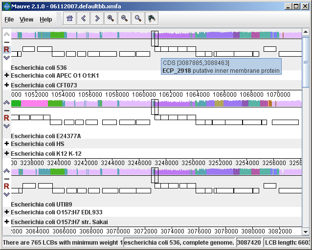 A 21-way alignment with some genomes hidden from view